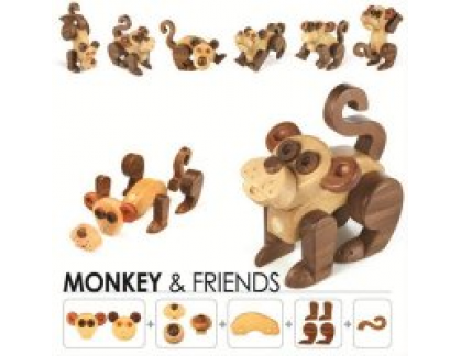Monkey and Friends